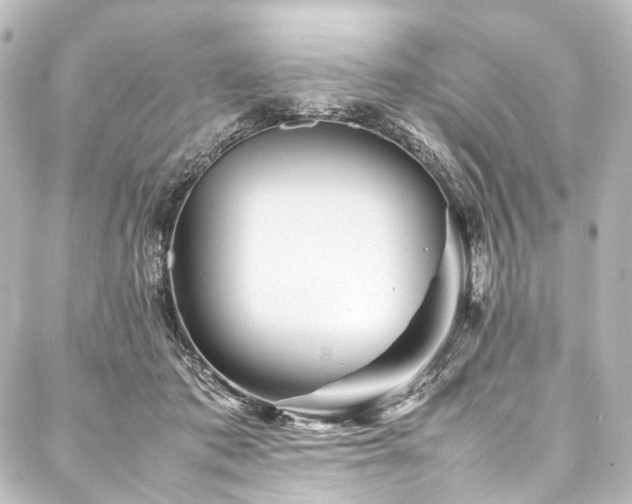 X0000088170413200705151153