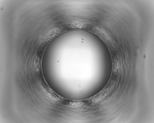 X0000088170414200705151153