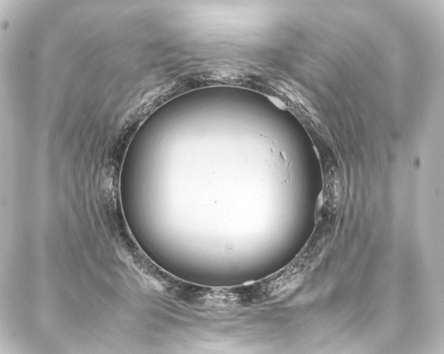 X0000088170415200705151153