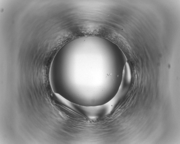 X0000088170416200705151153