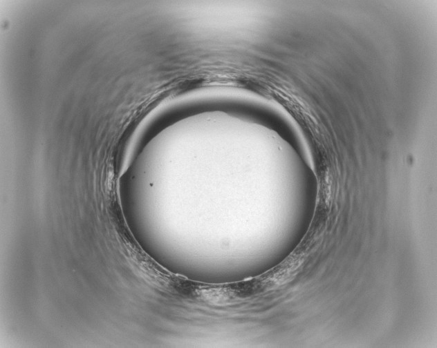 X0000088170417200705151153