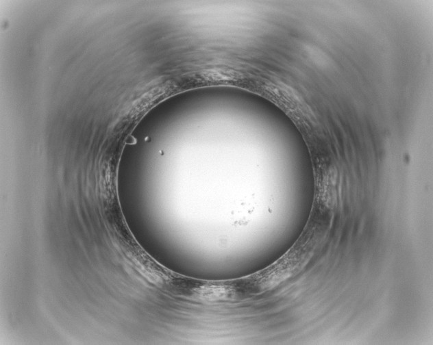 X0000088170418200705151153