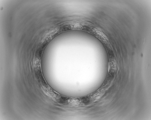 X0000088170419200705151153