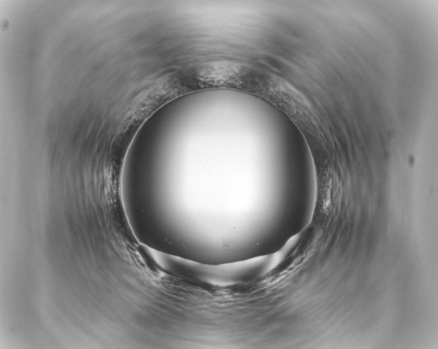 X0000088170420200705151153