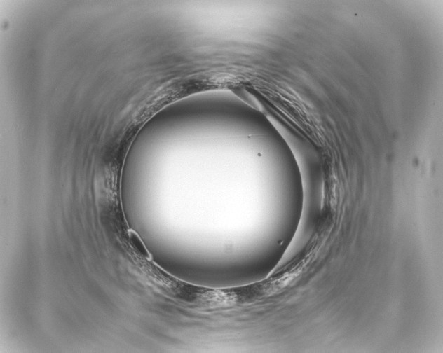 X0000088170421200705151153