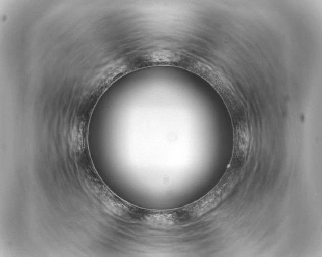 X0000088170422200705151153