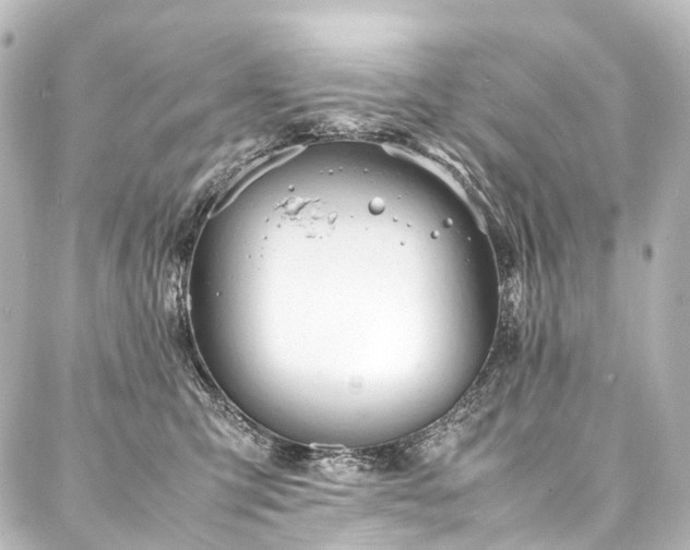 X0000088170423200705151153