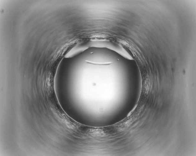 X0000088170424200705151153