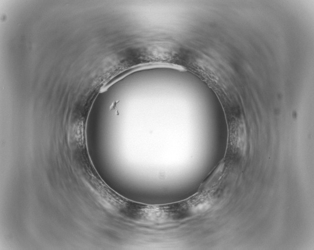 X0000088170425200705151153