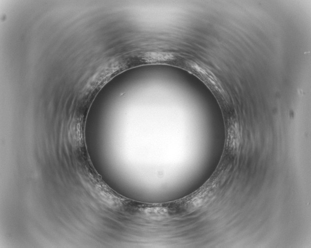 X0000088170426200705151153