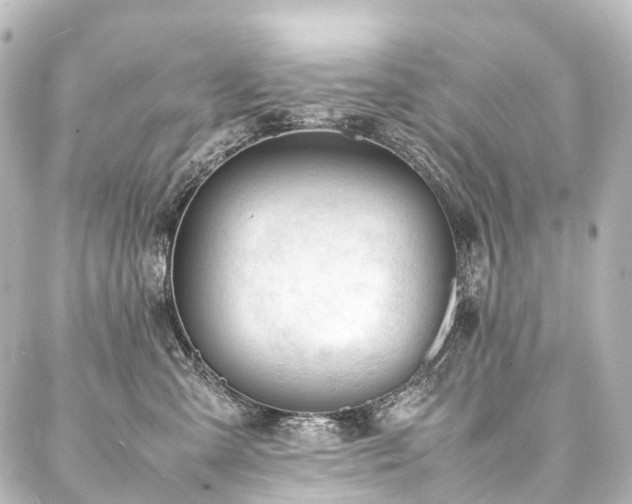 X0000088170427200705151153