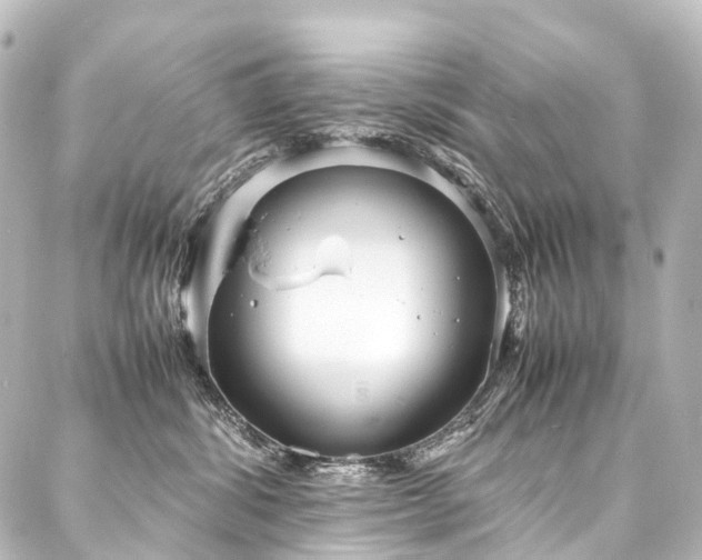 X0000088170428200705151153