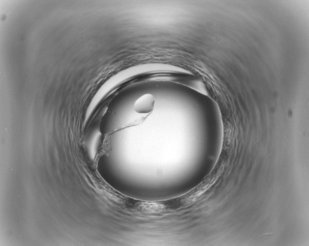 X0000088170429200705151153