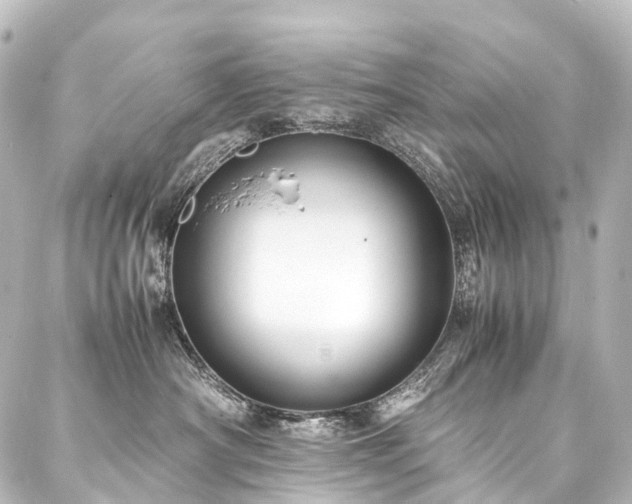 X0000088170430200705151153