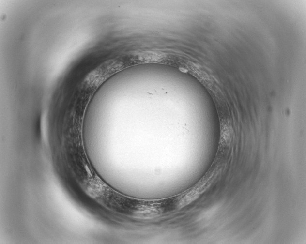 X0000088170431200705151153