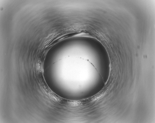 X0000088170432200705151153