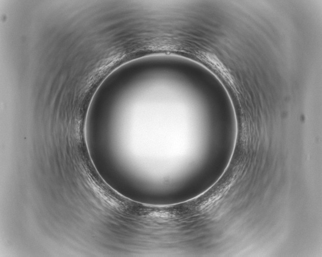 X0000088170441200705151153