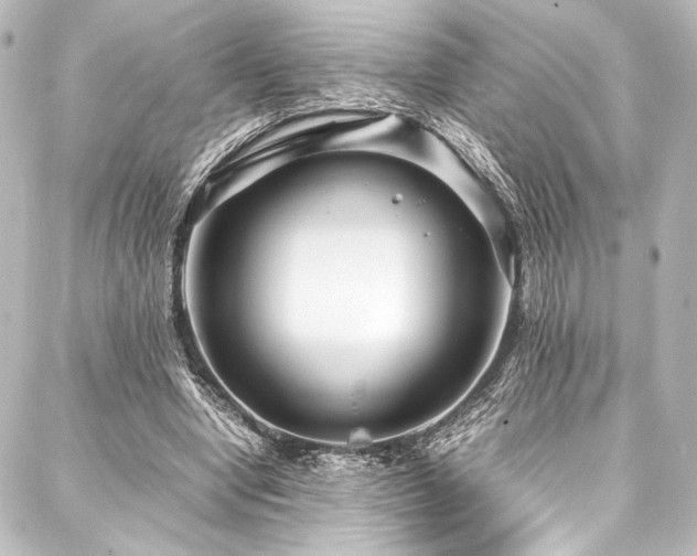 X0000088170442200705151153