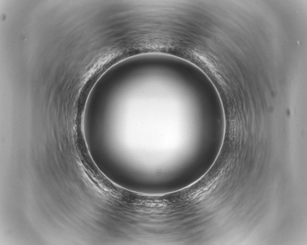 X0000088170443200705151153