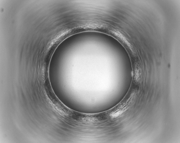 X0000088170444200705151153