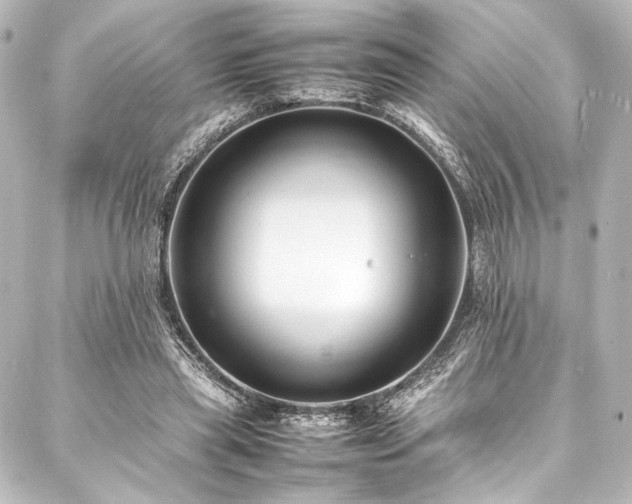 X0000088170445200705151153