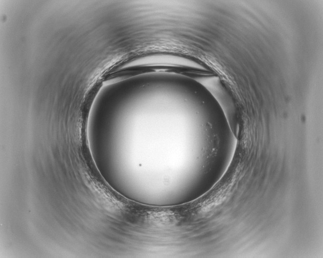 X0000088170446200705151153