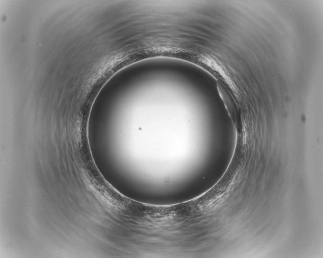 X0000088170447200705151153