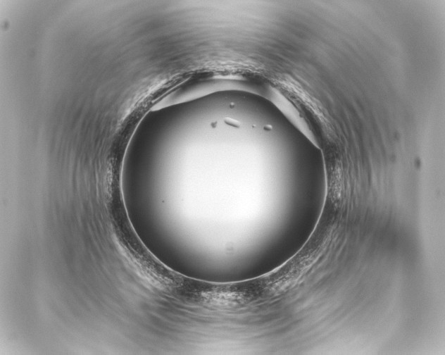 X0000088170448200705151153