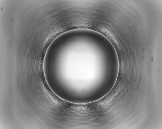 X0000088170449200705151153