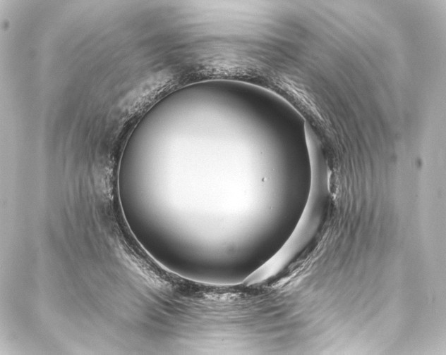 X0000088170450200705151153