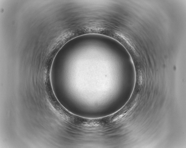 X0000088170451200705151153