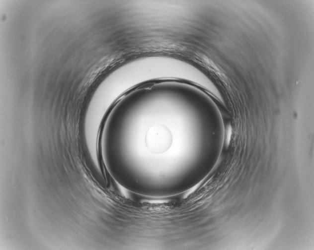 X0000088170452200705151153