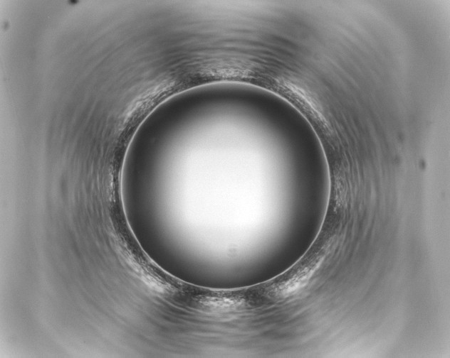 X0000088170453200705151153