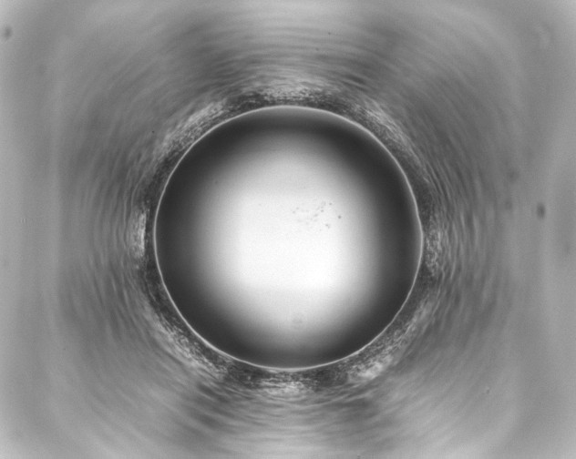 X0000088170454200705151153