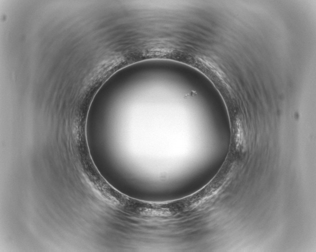 X0000088170455200705151153