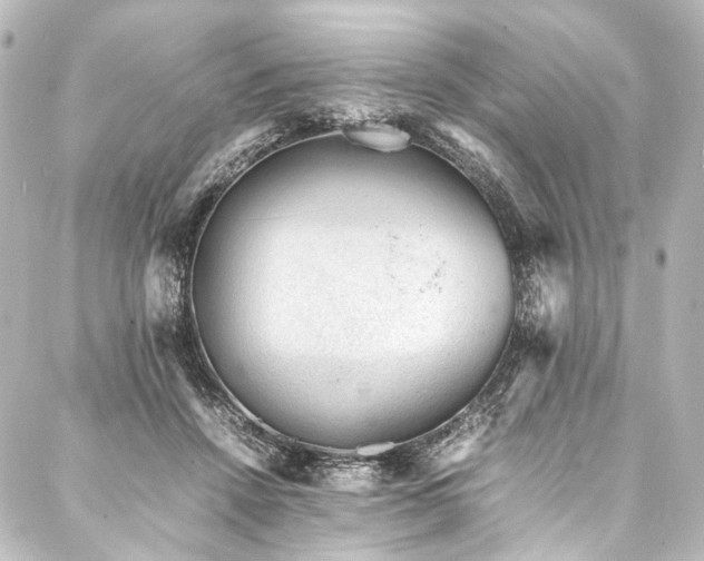 X0000088170456200705151153