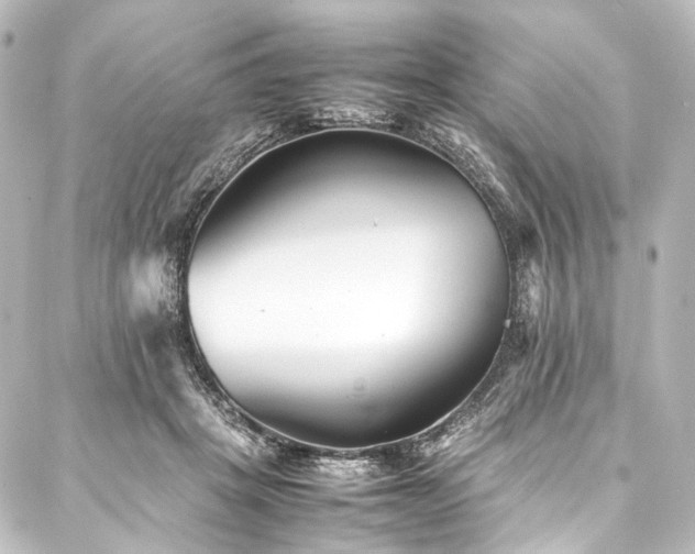 X0000088170457200705151153