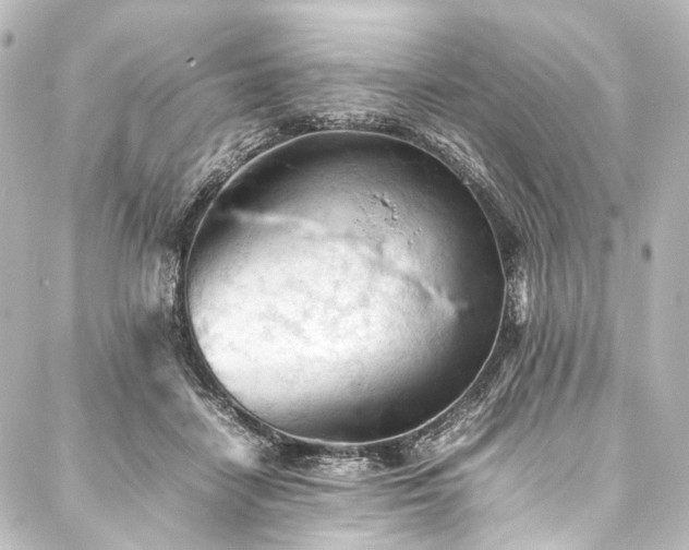 X0000088170458200705151153