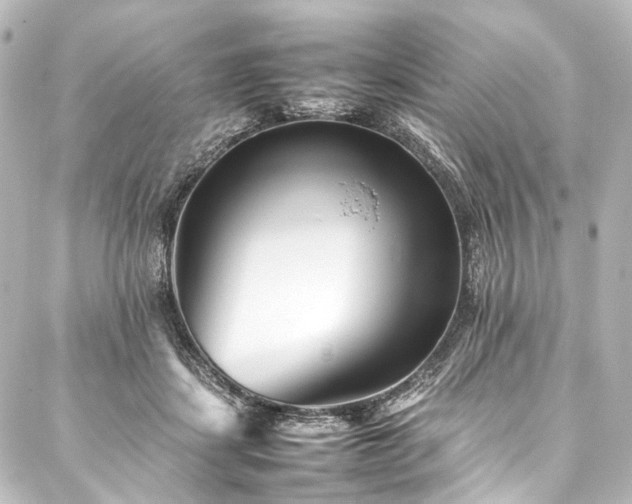 X0000088170459200705151153