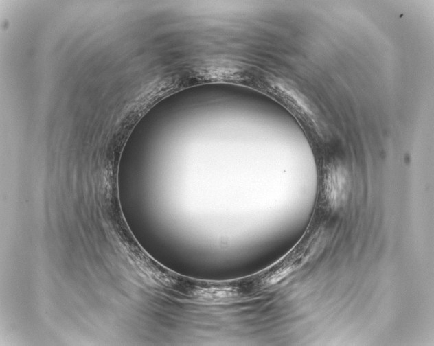 X0000088170461200705151153