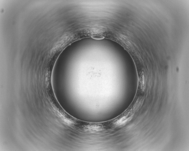 X0000088170462200705151153