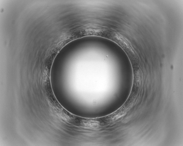 X0000088170463200705151153