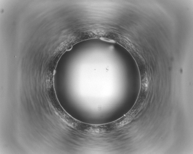 X0000088170464200705151153