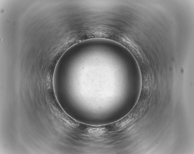 X0000088170465200705151153