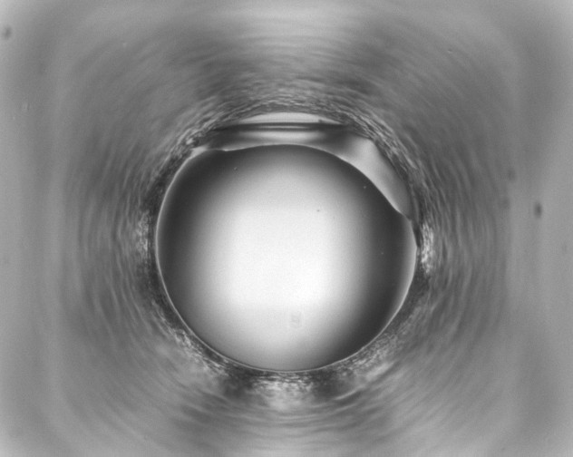 X0000088170466200705151153