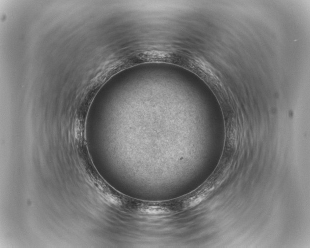 X0000088170467200705151153