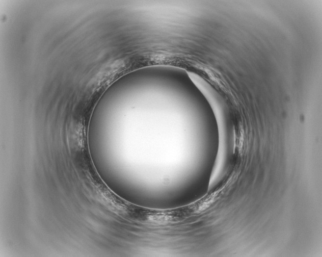 X0000088170470200705151153