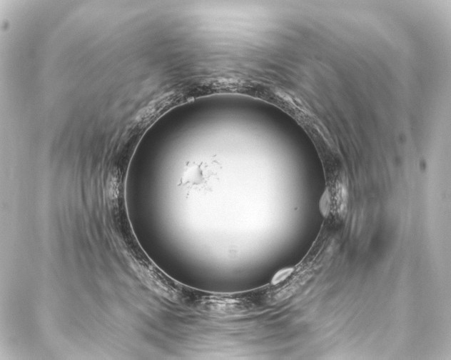 X0000088170472200705151153