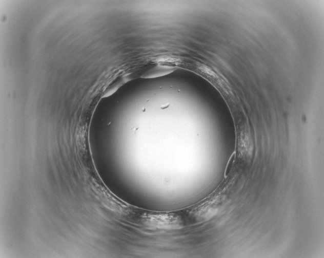 X0000088170473200705151153