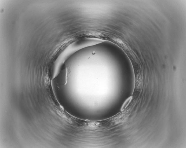 X0000088170474200705151153